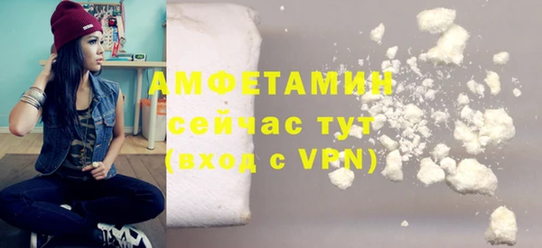 МДПВ Алзамай
