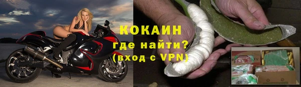 эйфоретик Покачи