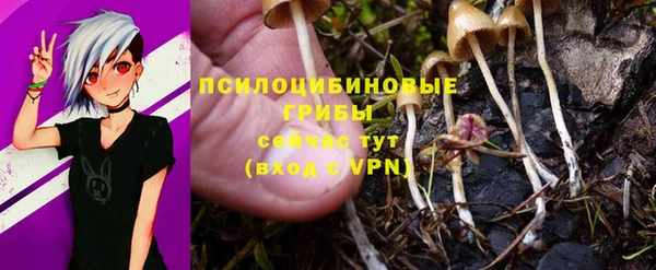 МДПВ Алзамай